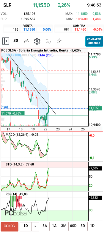 grafico de la accion diek37