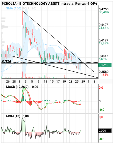 grafico de la accion BIOTECHNOLOGY ASSETS