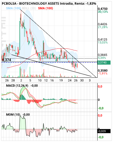 grafico de la accion BIOTECHNOLOGY ASSETS
