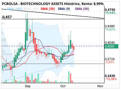 grafico de la accion BIOTECHNOLOGY ASSETS