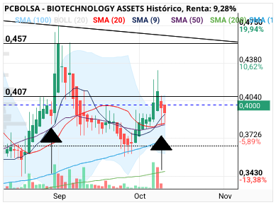 grafico de la accion BIOTECHNOLOGY ASSETS