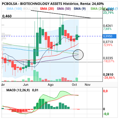 grafico de la accion BIOTECHNOLOGY ASSETS