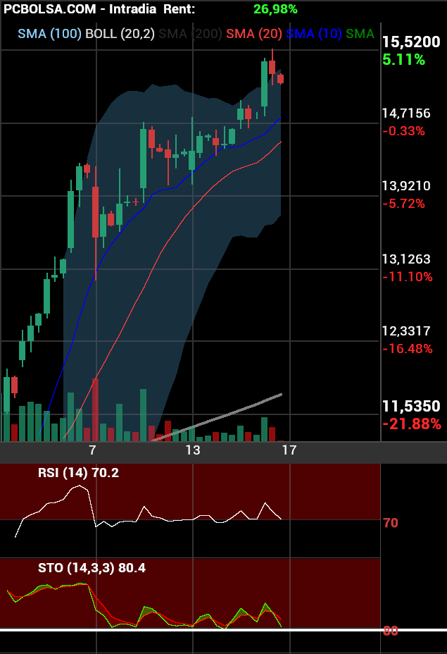 grafico de la accion berto
