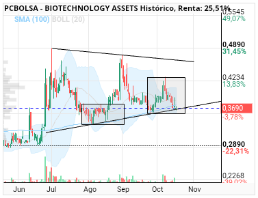 grafico de la accion BIOTECHNOLOGY ASSETS