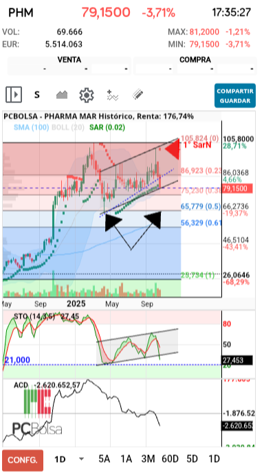 grafico de la accion dmeiga