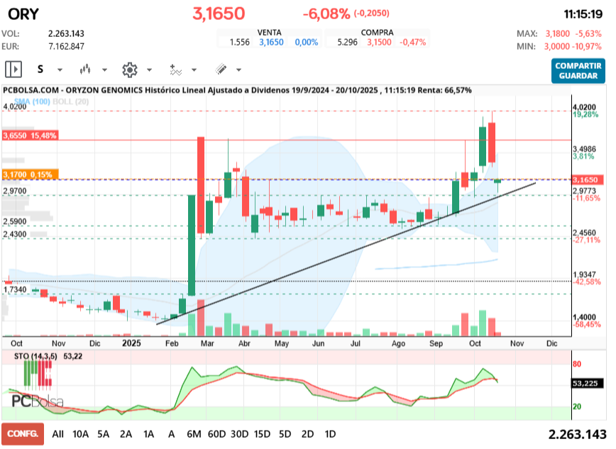 grafico de la accion rolanda