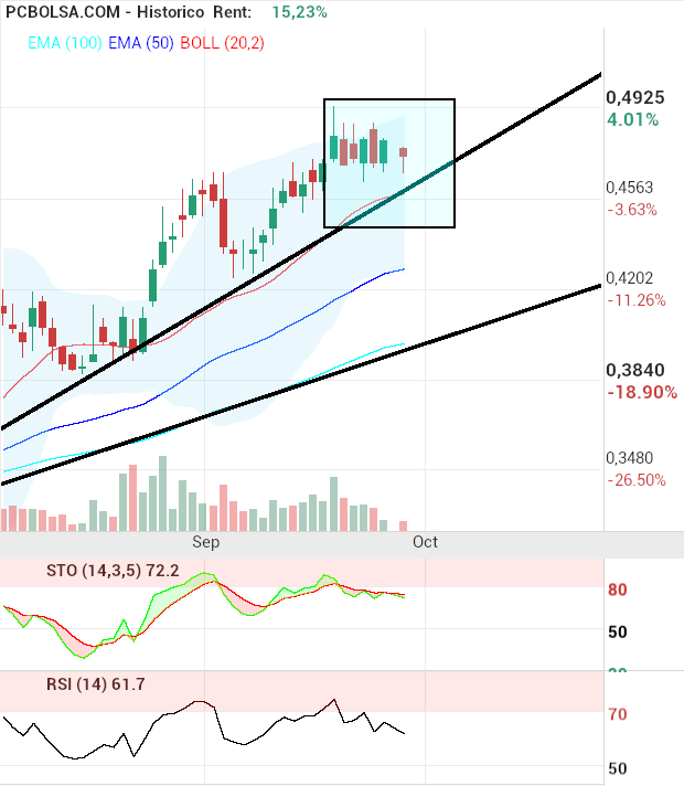 grafico de la accion pacosan