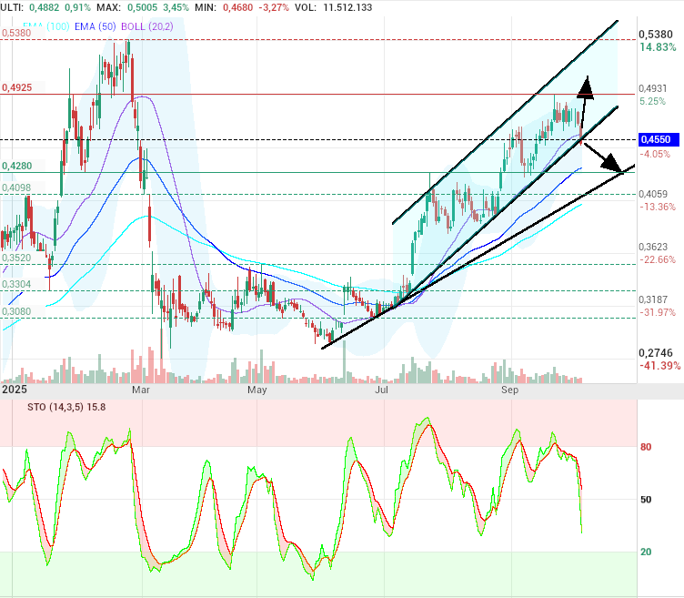 grafico de la accion motero