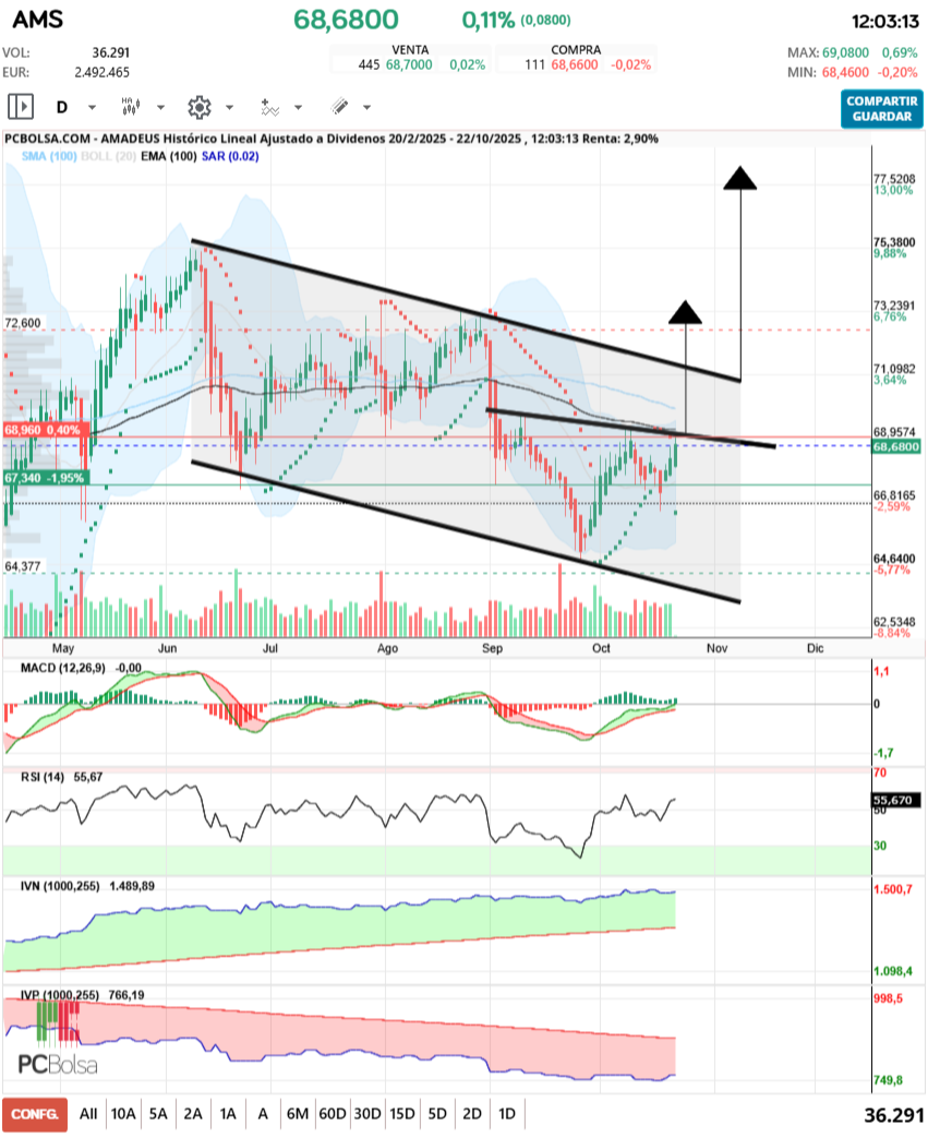 grafico de la accion Amadeus