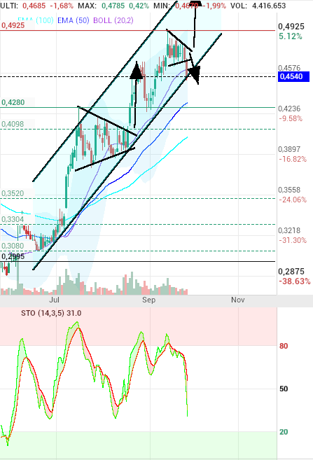 grafico de la accion motero