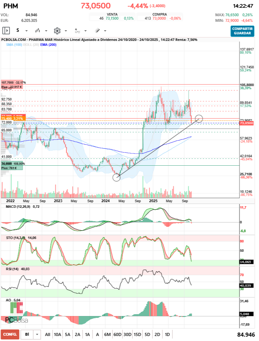grafico de la accion barrakus