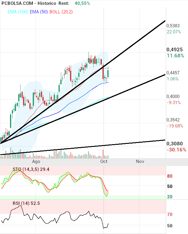 grafico de la accion pacosan