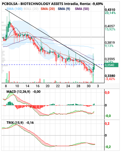 grafico de la accion BIOTECHNOLOGY ASSETS