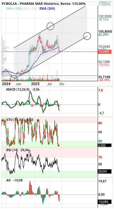 grafico de la accion barrakus