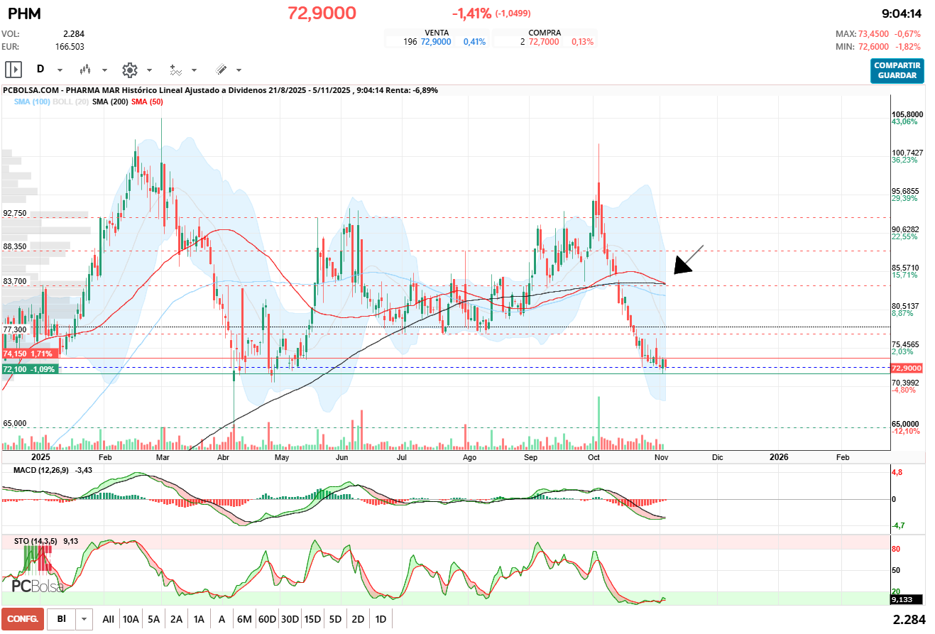 grafico de la accion pacojoy