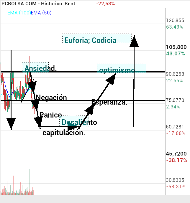 grafico de la accion macadi