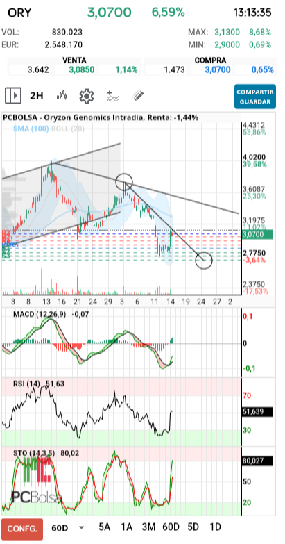 grafico de la accion pedrin69