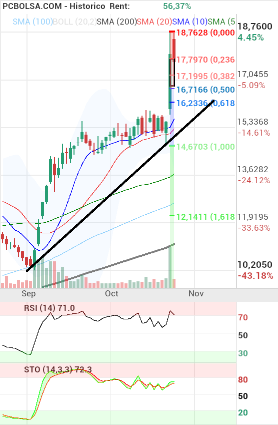 grafico de la accion berto