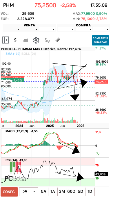 grafico de la accion pineta