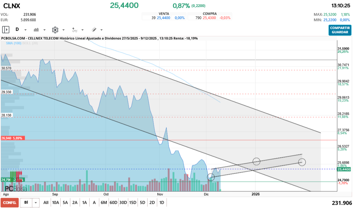 grafico de la accion chiquitina