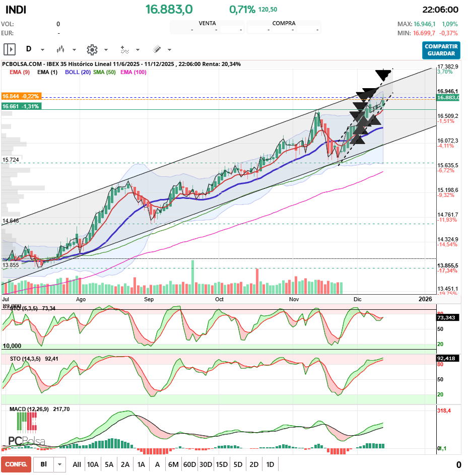 grafico de la accion pueyo