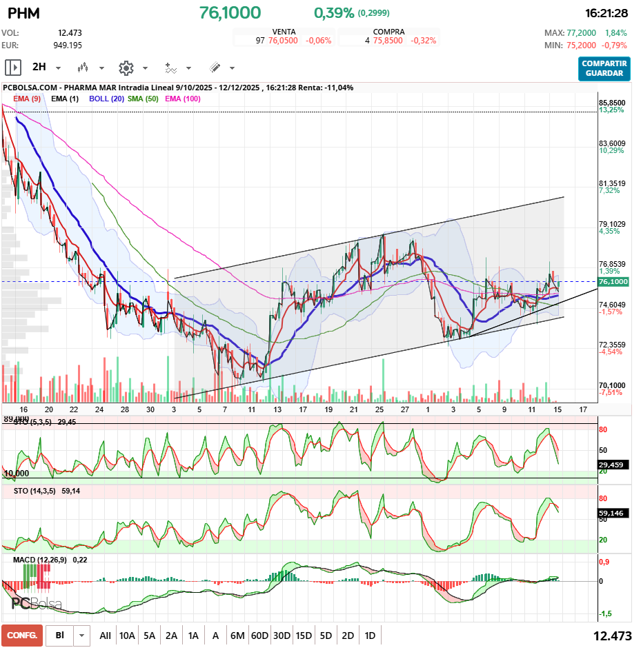grafico de la accion pueyo