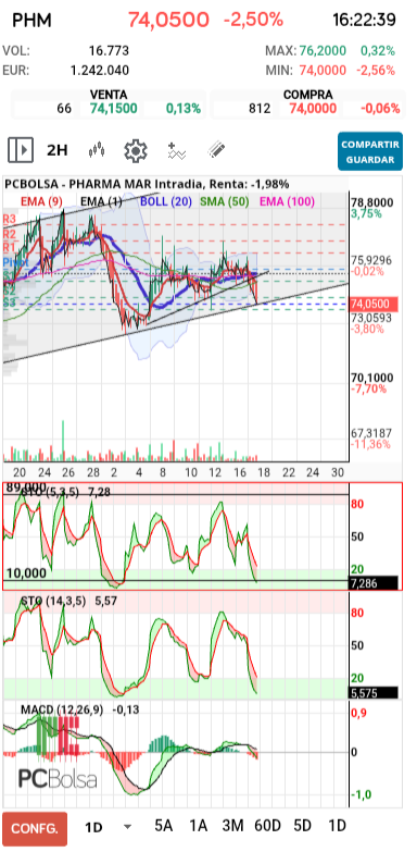 grafico de la accion pueyo