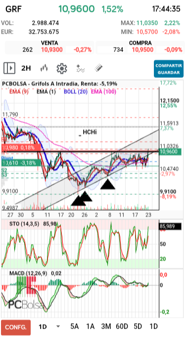 grafico de la accion pueyo