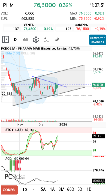 grafico de la accion dmeiga