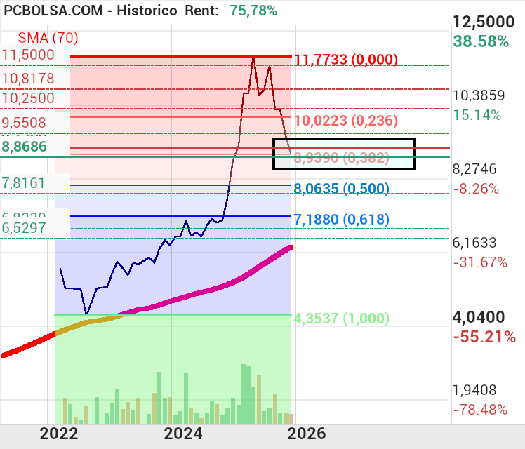 grafico de la accion Nicolas Correa