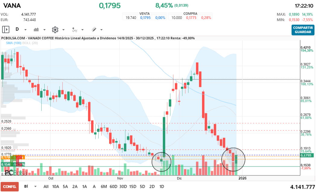 grafico de la accion theman