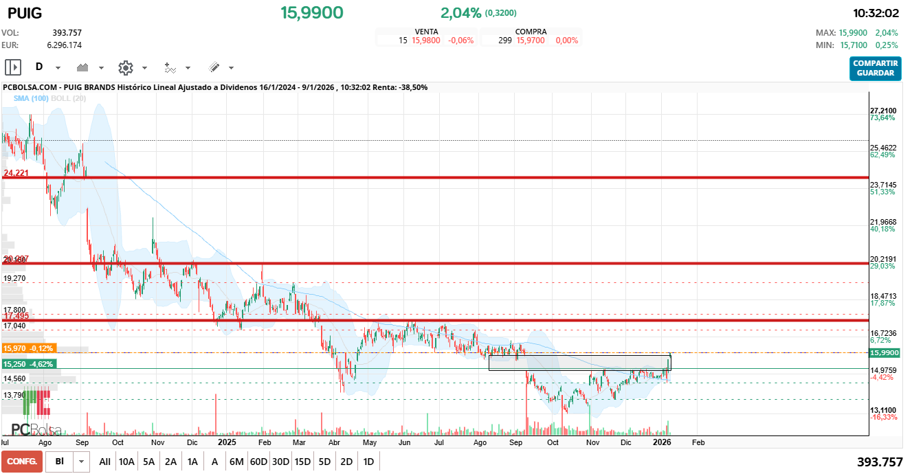 grafico de la accion jelins
