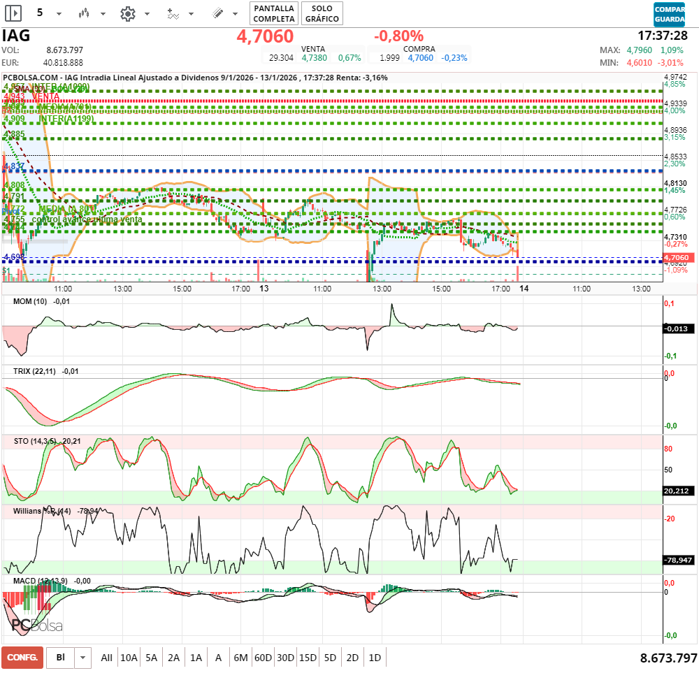grafico de la accion jminversion