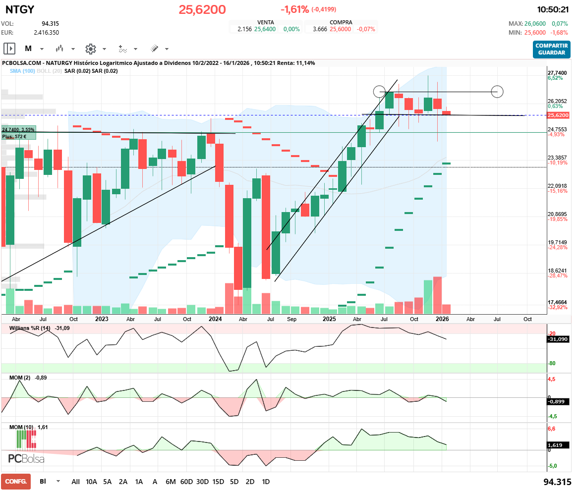 grafico de la accion rulis71