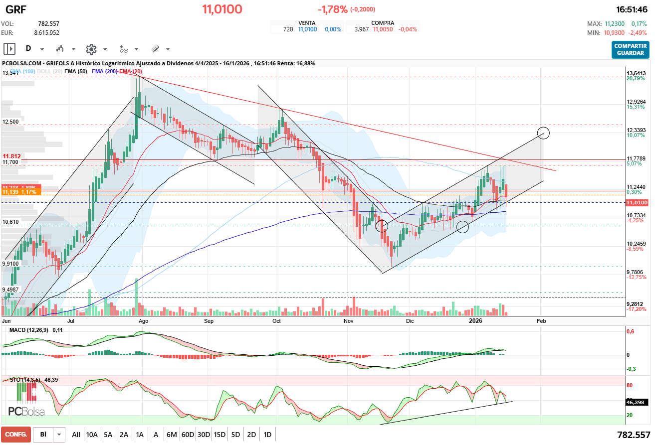 grafico de la accion pueyo