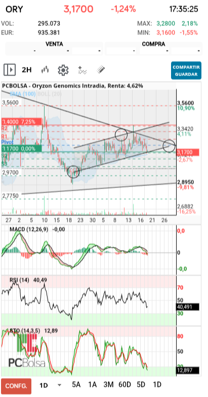 grafico de la accion pedrin69