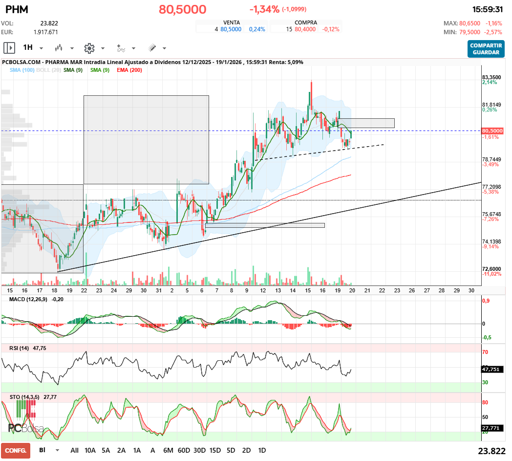 grafico de la accion javifm