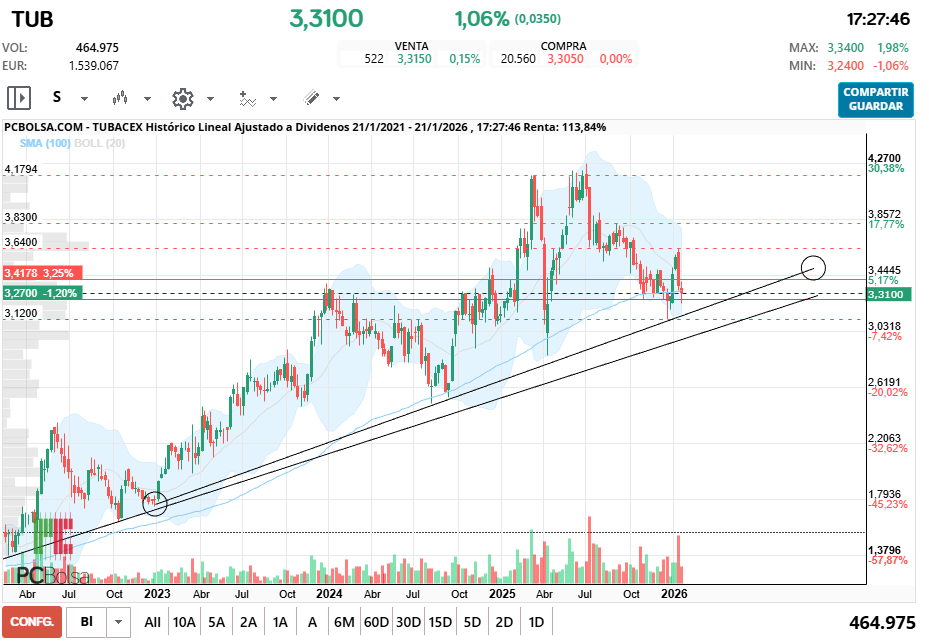 grafico de la accion pequeño666