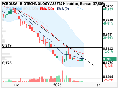 grafico de la accion BIOTECHNOLOGY ASSETS