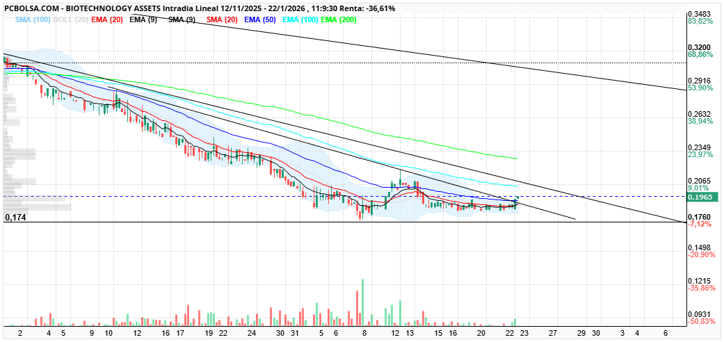 grafico de la accion BIOTECHNOLOGY ASSETS