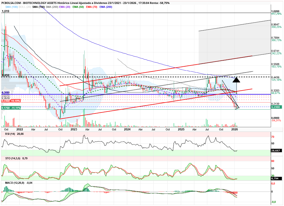 grafico de la accion angel_campos
