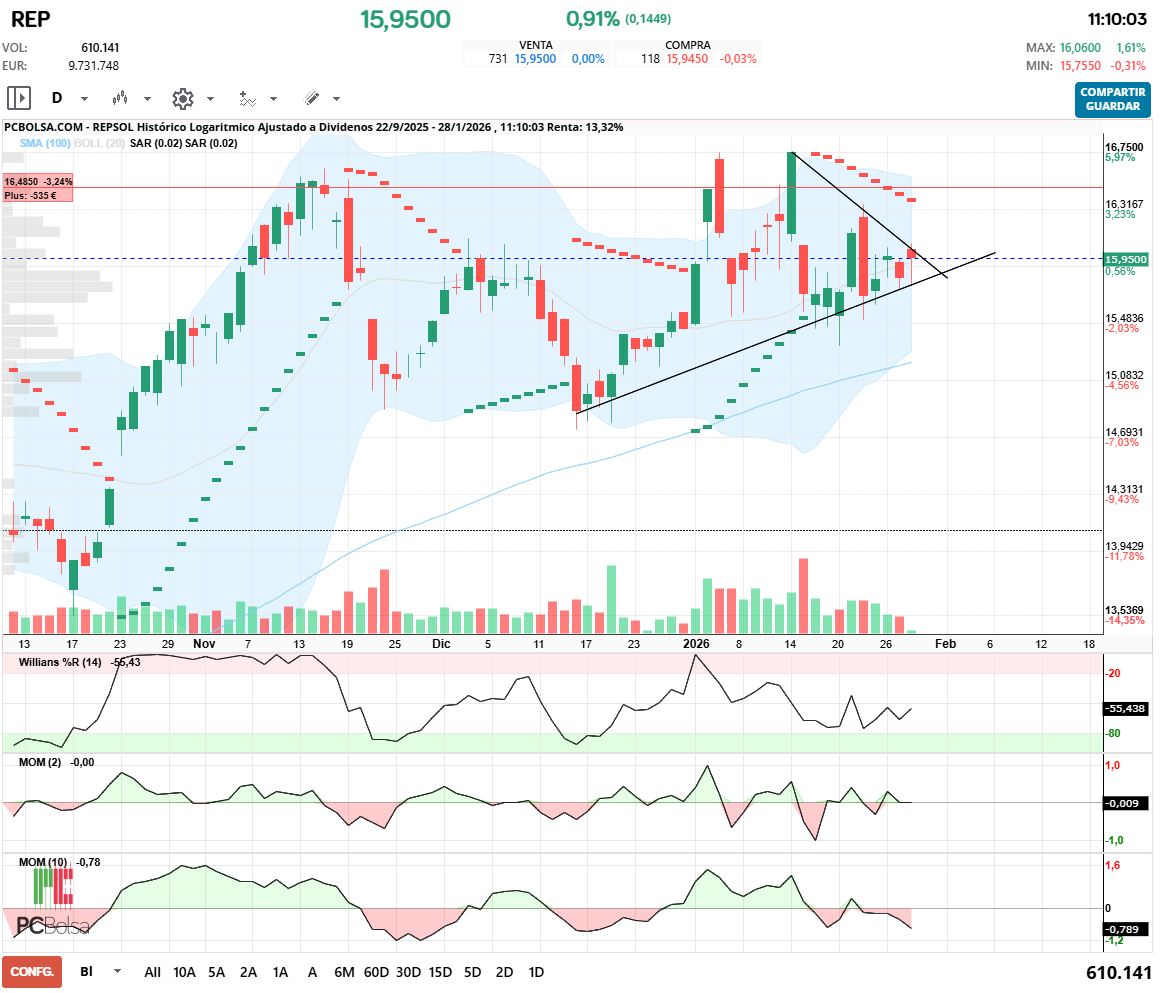 grafico de la accion rulis71