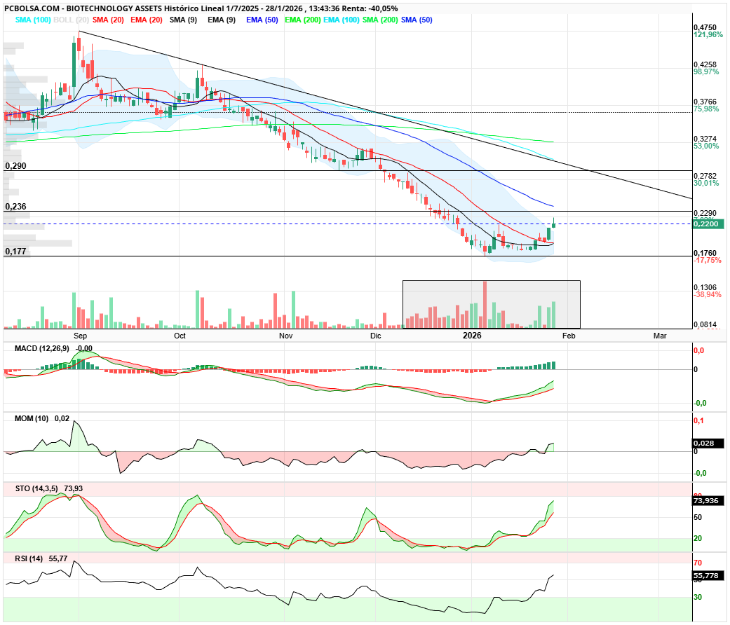 grafico de la accion clayton