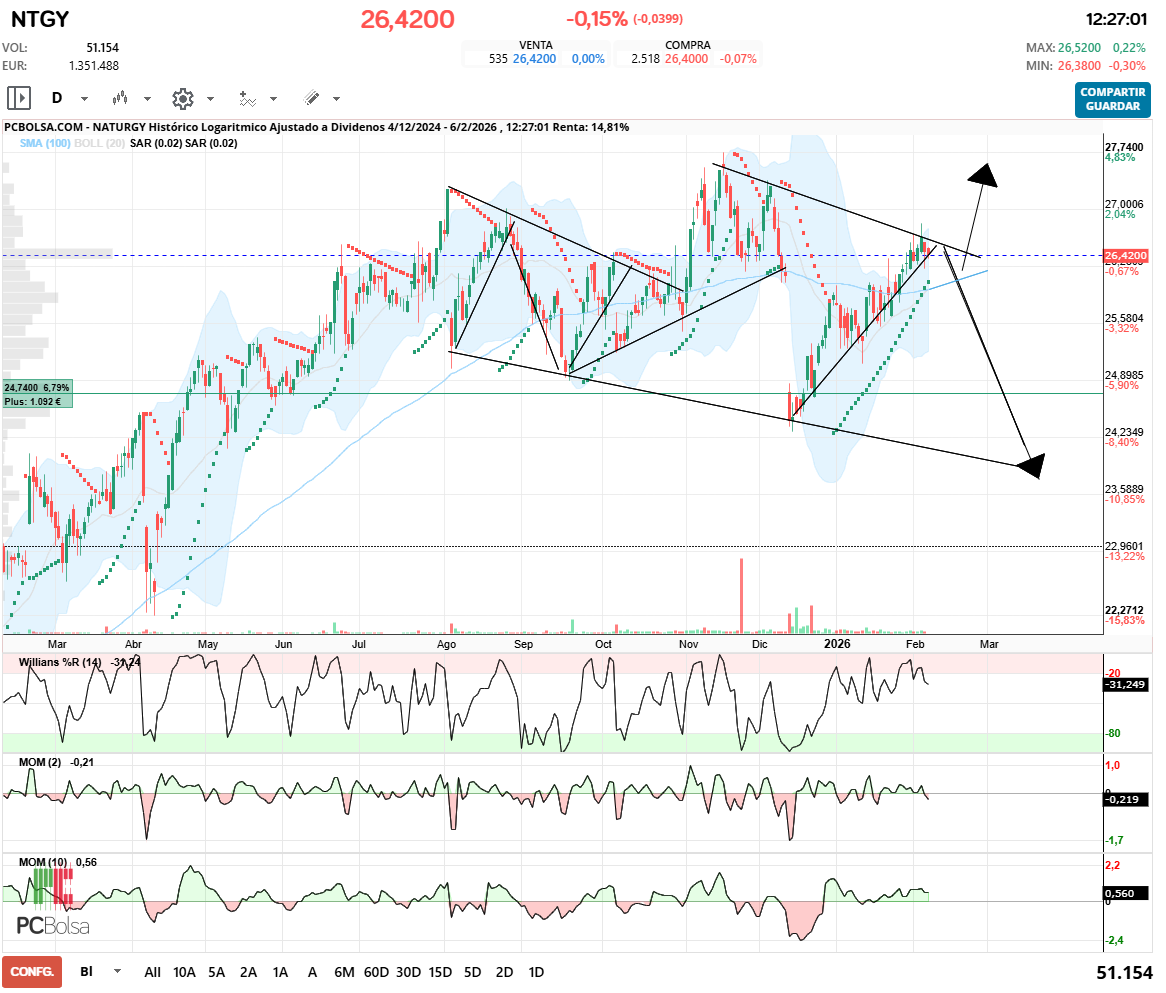 grafico de la accion rulis71