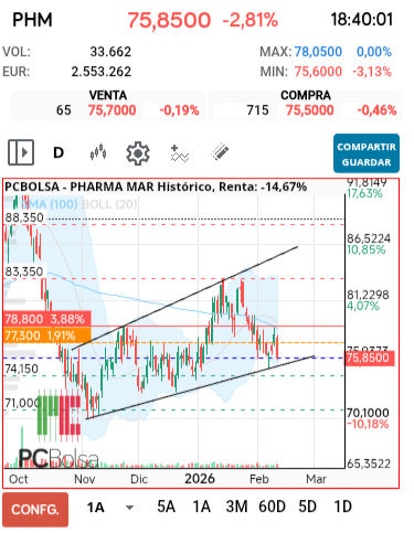 grafico de la accion dmarronv