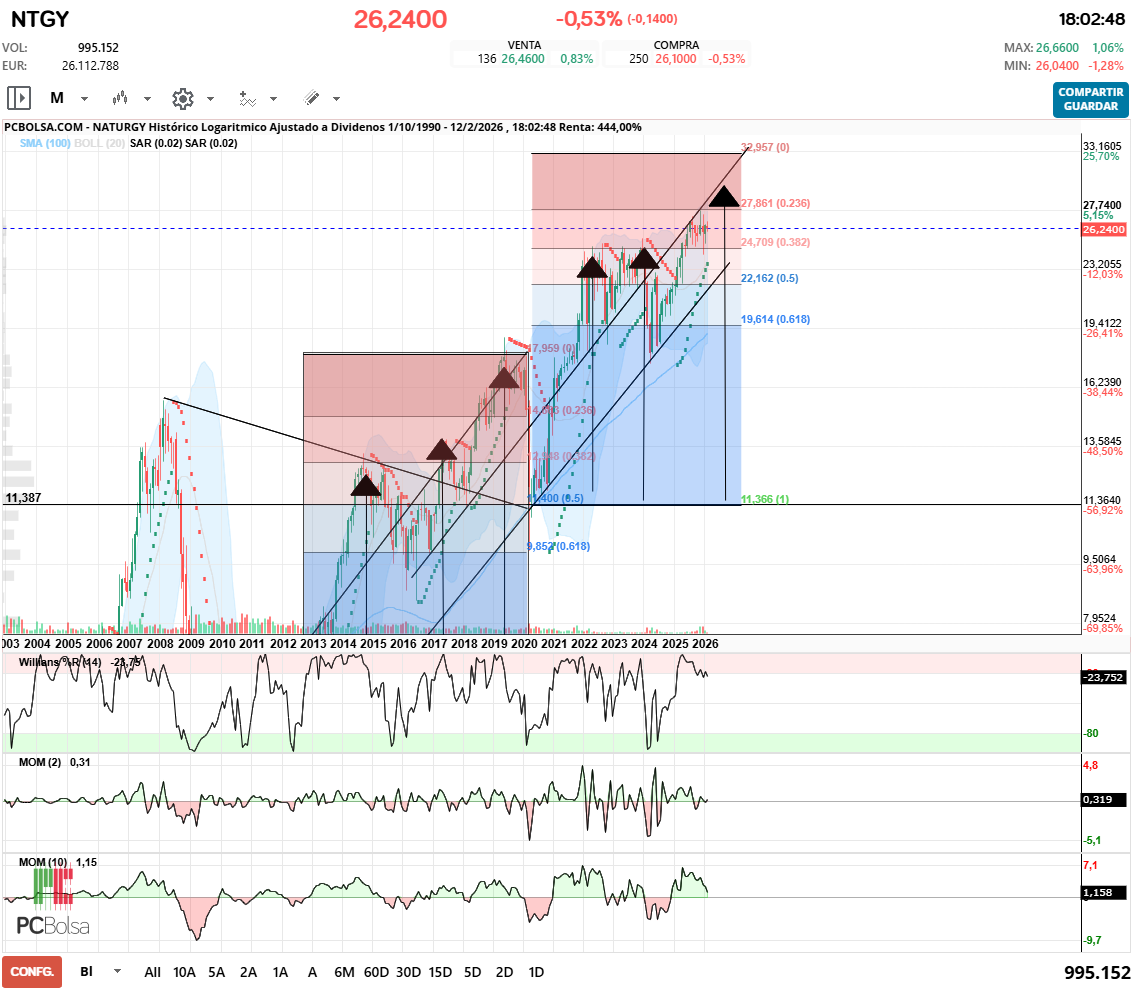 grafico de la accion rulis71