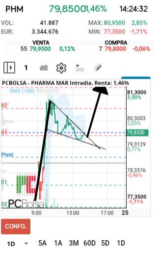grafico de la accion faemino1