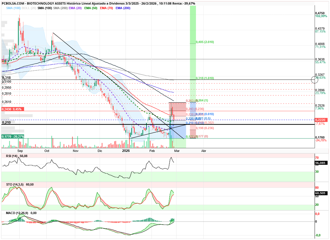 grafico de la accion angel_campos