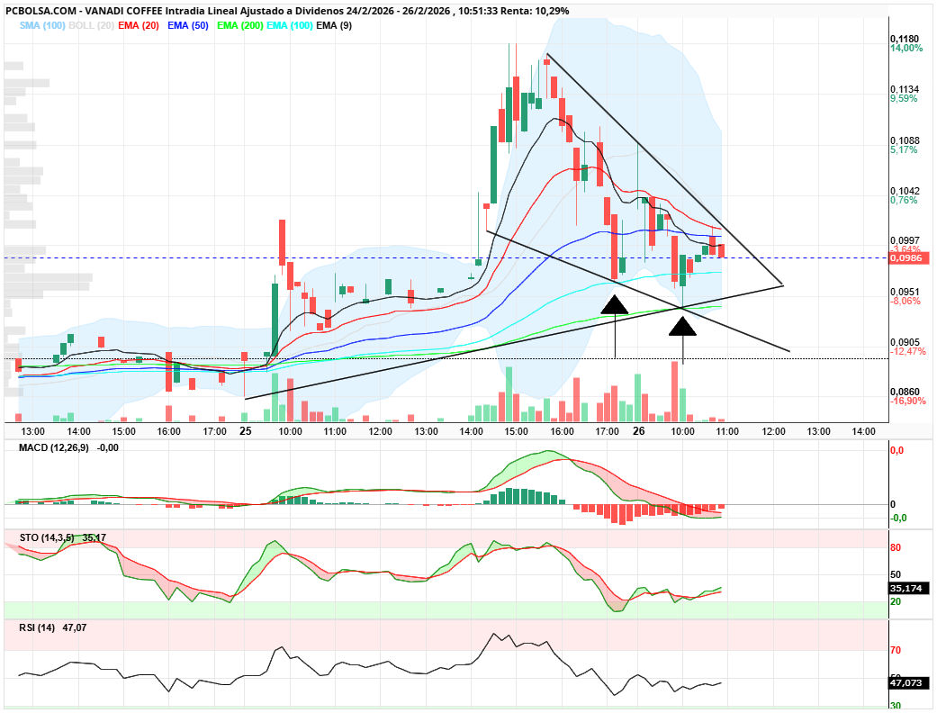 grafico de la accion Vanadi Coffee
