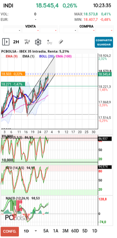 grafico de la accion pueyo